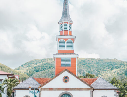 Martinique, à la découverte de nos racines